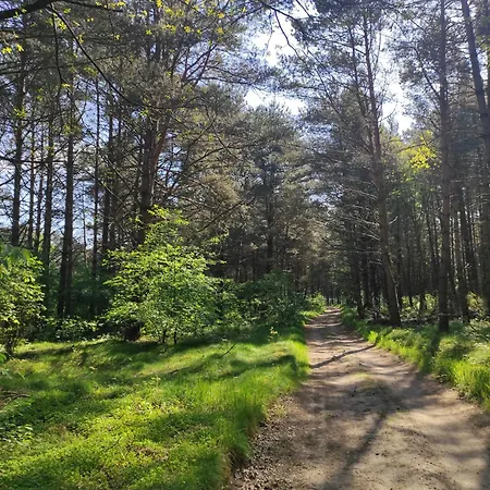 Tatil Evi Na Jastrzebiej *