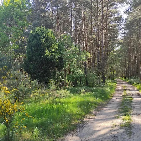 Na Jastrzebiej 別荘