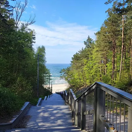 Na Jastrzebiej Mieroszyno