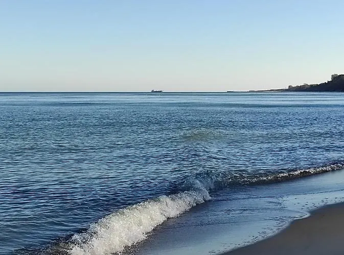 Na Jastrzebiej Mieroszyno